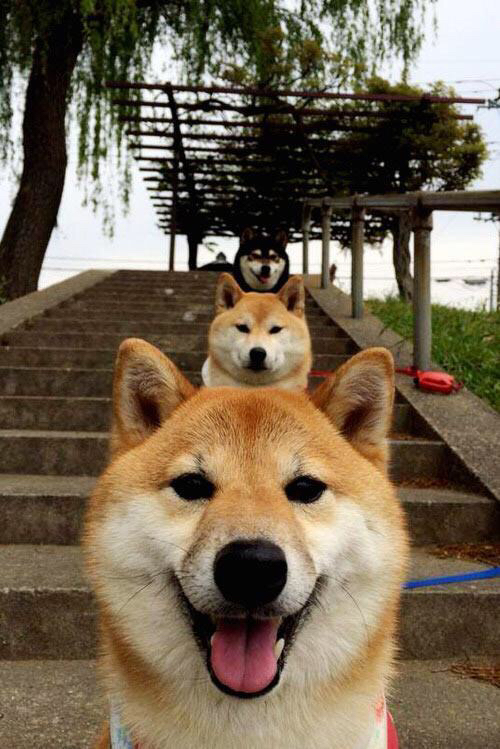 以“体育+科技”助推青少年篮球智慧教育，科技助力体育