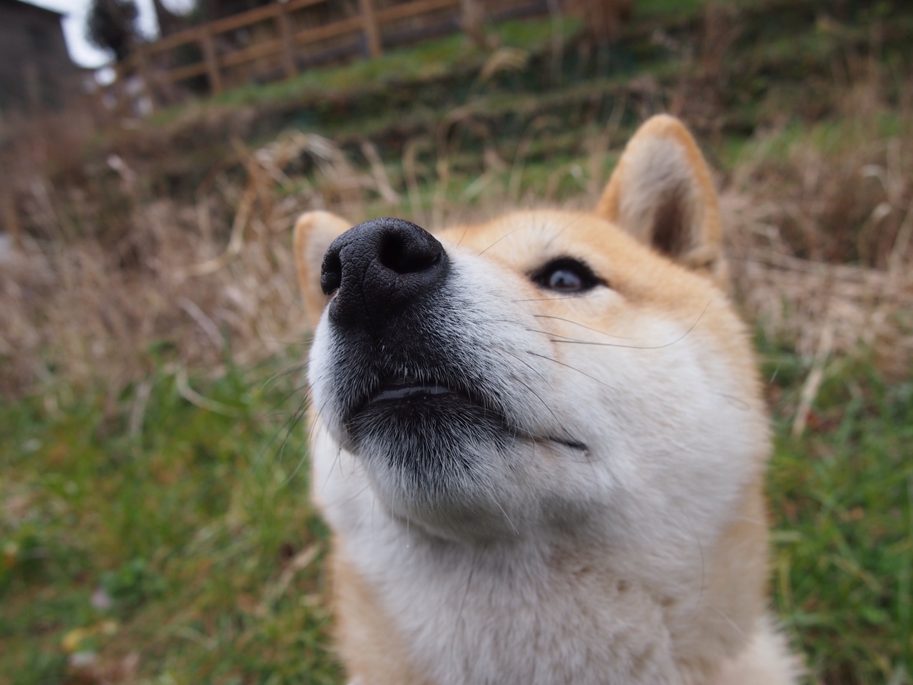 开云在线直播-76人推出“低碳球迷积分系统”，倡导绿色出行观赛